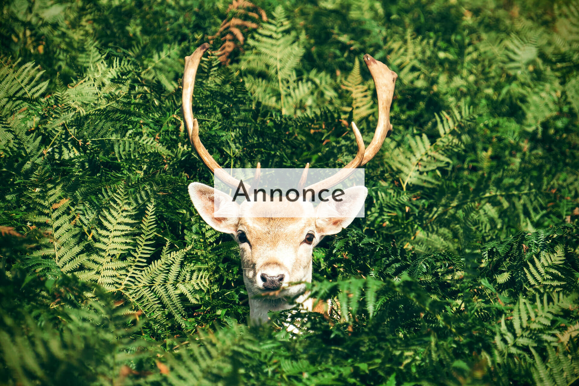 Unforgettable Travel Experiences of My Life